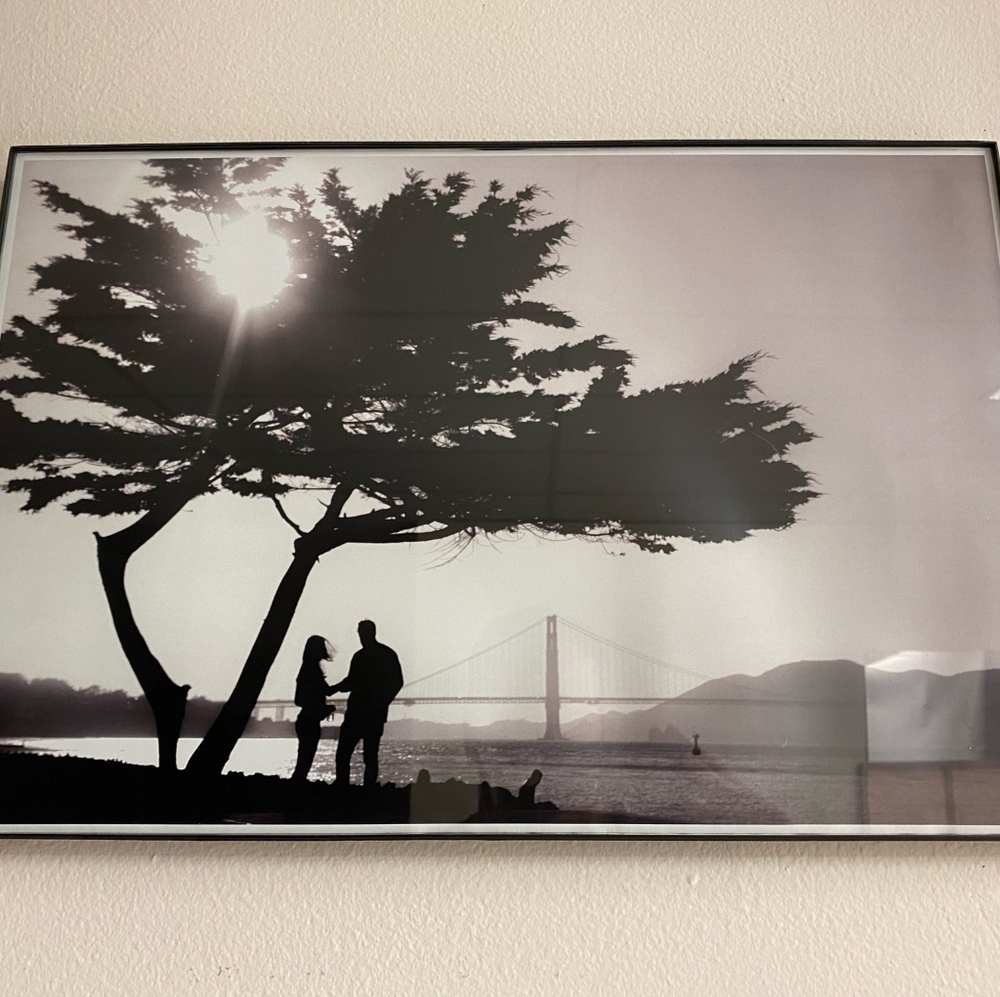 Picture - Picture 2 of 3